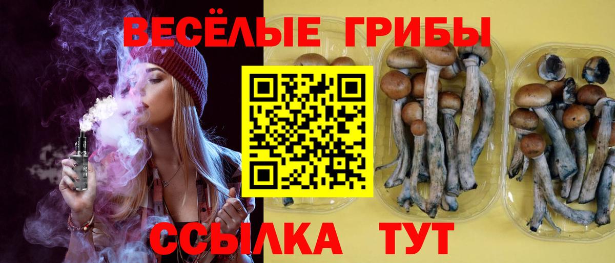 Псилоцибиновые грибы GOLDEN TEACHER Семёнов